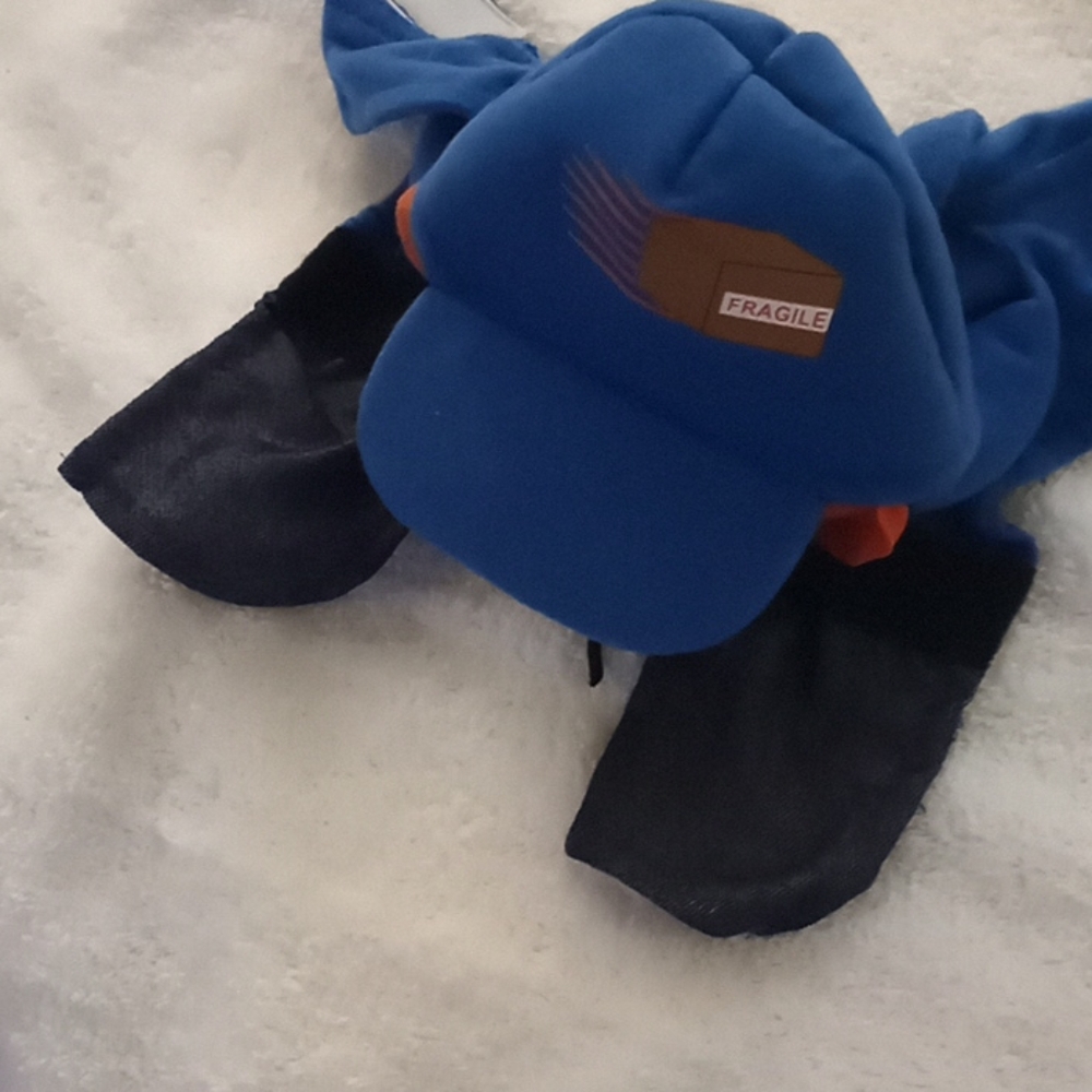 Puppy dog costume for delivery puppy - Picture 2 of 3